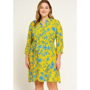 CAbi SZ S 5794 Lemon Drop Dress A-Line Waist Tie Colorful